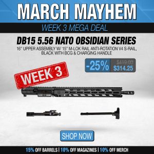 With BCG & Charging Handle